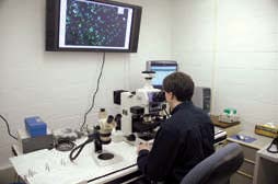 A Visiting Scientist evaluates the use of cathodoluminescence as a means of determining the geographic origin of mineral grains. The resulting information could be used as a point of comparison in forensic examinations involving soil, building materials, and other geologic material. 