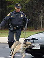 Who We Are - Canine Explosives Detection Unit screens vehicles and event sites for explosives