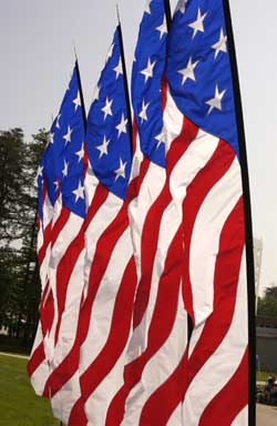 Photo of the United States of America flags.