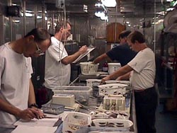 The catch is sorted, counted and measured in the Wet Lab.