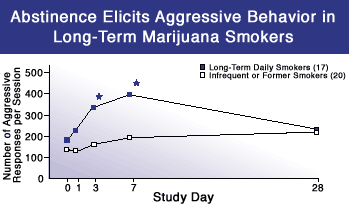 Marijuana Trends