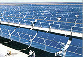 A photo of a solar field featuring rows and rows of parabolic troughs at a power plant.