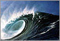 Photo of an ocean wave.