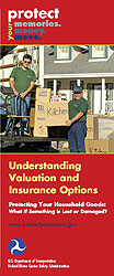 Cover of the publication 'Understanding Valuation and Insurance Options'