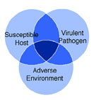 Graphic showing three circles intersecting one another (one circle is labeled 'susceptible host', another labeled 'Virulent Pathogen' and the last labeled 'Adverse Environment')