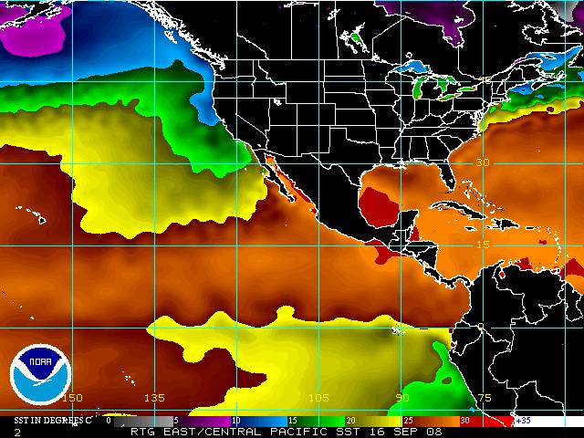 Eastern Pacific Daily SST Analysis