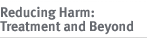 Reducing Harm: Treatment and Beyond