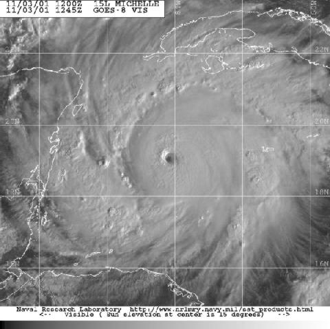 GOES-8 visible image of Hurricane Michelle