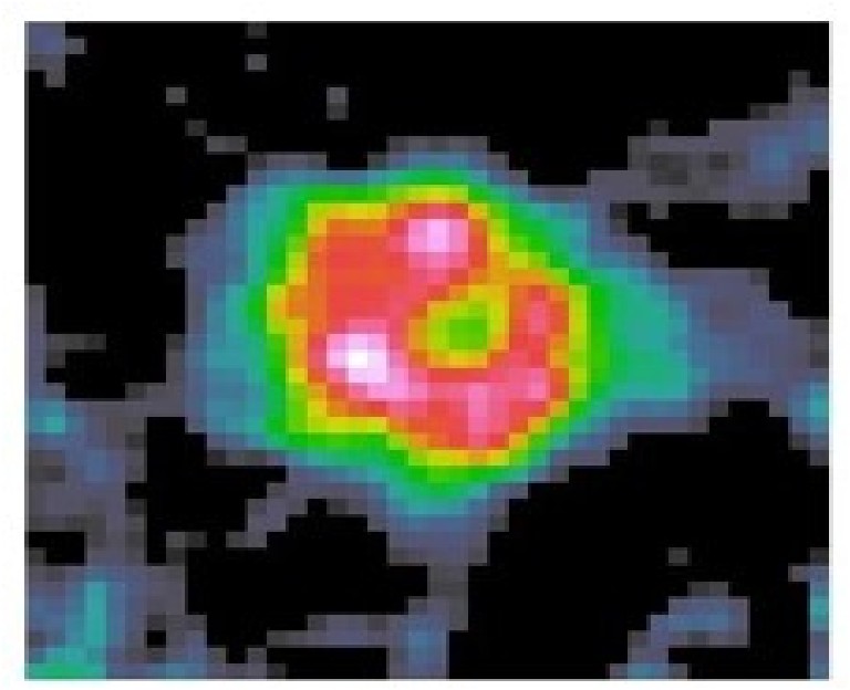 Sub-millimeter observations of Vega above left show evidence of a face-on disk around 100 AU in radius, with a central clearing.