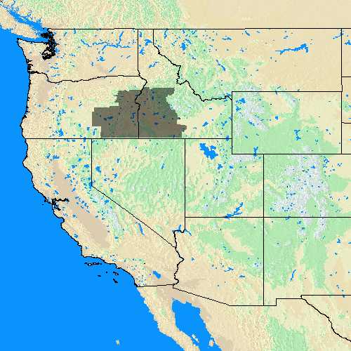 Domain Coverage for Boise, ID