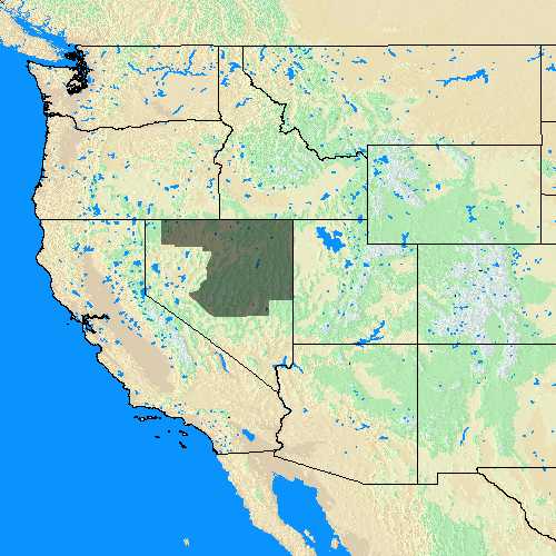 Domain Coverage for Elko, NV