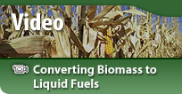 Converting Biomass to Liquid Fuels Video