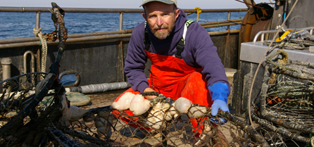 Steve Theberge with recovered crab pots