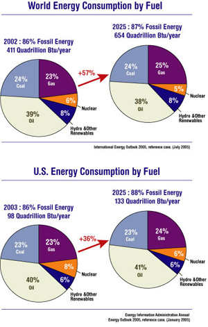 Energy Consumption by Fuel