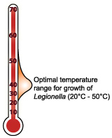 Optimal temperature for growth
