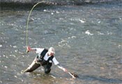 photo: person fly fishing in Provo River