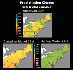 Precipitation Change, 20th & 21st Centuries