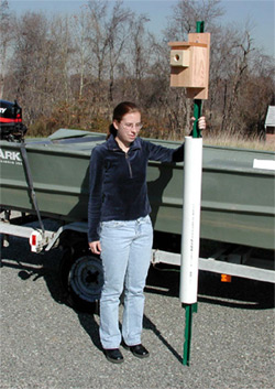 Nestbox on pole with predator guard