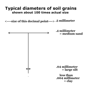 A diagram titled Typical diameters of soil grains, shown about 100 times actual size.  Below the title is a vertical line bisected at three, evenly spaced points with horizontal lines.  The first horizontal line is about two and a half inches long, and indicates that the length of the horizontal line represents the size of a grain of medium sand, which in true scale is .4 millimeters.  The second horizontal line is about one quarter of an inch long, and indicates that the length of the horizontal line represents the size of a grain of large silt, which in true scale is .04 millimeters. The third horizontal line appears only as a tiny dot, and indicates that the dot represents the size of a grain of soil clay particle, which in true scale is .004 millimeters.