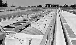 A black and white photograph of a concrete-lined canal, divided in the middle by a concrete structure that looks like a small dam spanning the canal.  The structure is actually a series of fish screens.  The fish screens are located at water level.  The front of the fish screens have mesh screens to allow water to flow through, but not fish. 