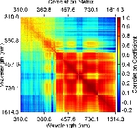 Correlation in Spectral Solar Irradiance from SORCE