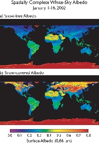 Global Spectral Surface Albedo with Snow Cover