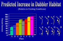 Predicted increase in dabbler habitat