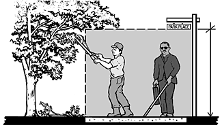 illustration showing minimum height of 80 inches for pedestrian routes