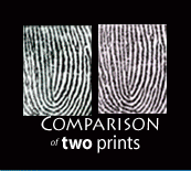 Example of a comparison of two prints; Below the photo display is a blue background with faded fingerprint patterns. This photo is faded in the background with white links on top of the image.