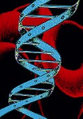 Las noticias de HealthDay imaginan para el artículo titulado: Un gen aumenta la resistencia a un medicamento de quimioterapia