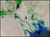 The Mesopotamian Marshes