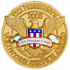PVSA Gold pin