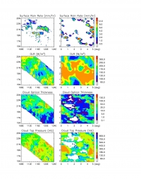 Clouds, Rain and Radiation from Satellite Observations Versus Model Simulations