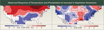 Observed Response of Temperature and Precipitation to Increase in Vegetation Greenness.