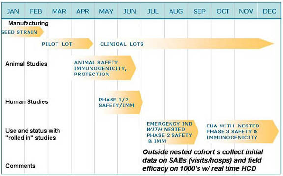 12 month chart showing hypothetical emergency roll out program for a novel vaccine including, seed strains, pilot lot, clinical lots, animal safety,emergency IND with nested phase 2, EUA with nested phase 3