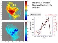 Reversal of trend of biomass burning in the Amazon