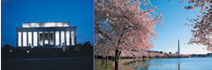 Lincoln Memorial, Cherry Blossoms