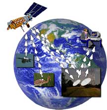 Diagrama del rastreo satelital de animales migratorios.