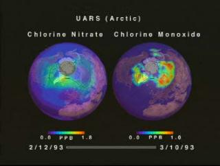 Chlorine nitrate measured by CLAES and chlorine monoxide measured by MLS over the arctic from 2-12-93 to 3-10-93