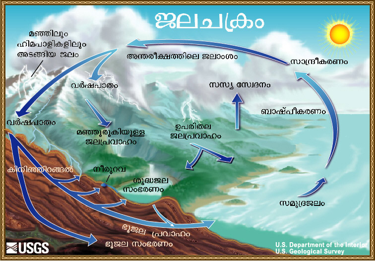 Diagram of the water cycle. 