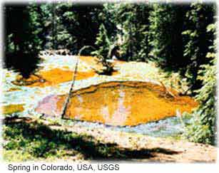 ABD Colorado’da yüksek oranda demir ihtiva eden kahve renkli bir su kaynağının resmi. 