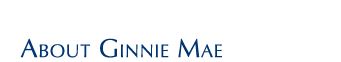 About Ginnie Mae