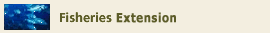 Button: Fisheries Extension