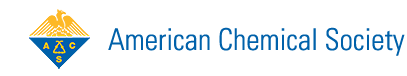 American Chemical Society