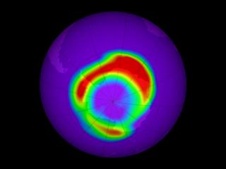  This animation shows varied concentrations of ClO near the Antarctic pole. ClO can react with an oxygen atom to release free chlorine radical.