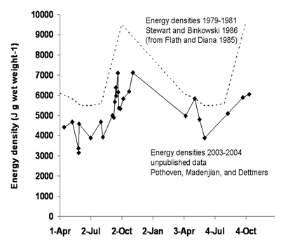 energy densities of adult alewives in Lake Michigan