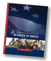 cover of Budget in Brief - click to view report