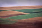 the Palouse region of northern Idaho is noted for production of wheat, barley and dry edible peas and lentils