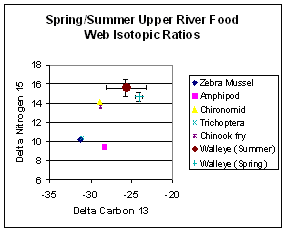 carbon and nitrogen isotopic signatures of food web items in the upper Muskegon River, 2003