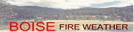 Boise Fire weather logo